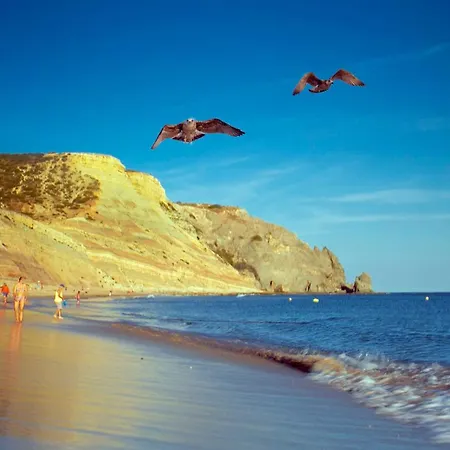 B86 - Beachline In Da 公寓 *