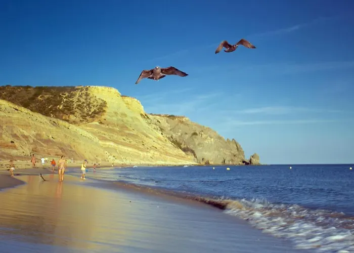 B86 - Beachline In Da * Praia Da Luz