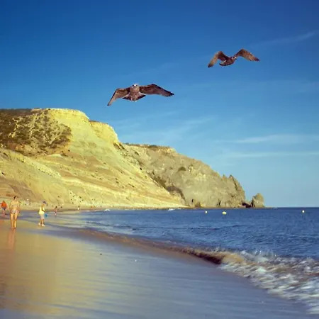 B86 - Beachline In Da * Senhora da Luz